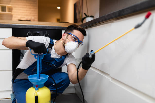 Best Cockroach Control Services  in French Mp, CA