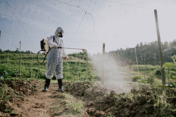 Best Pest Prevention Services  in French Mp, CA