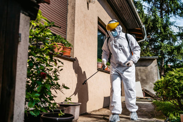 Best Pest Control for Businesses  in French Mp, CA