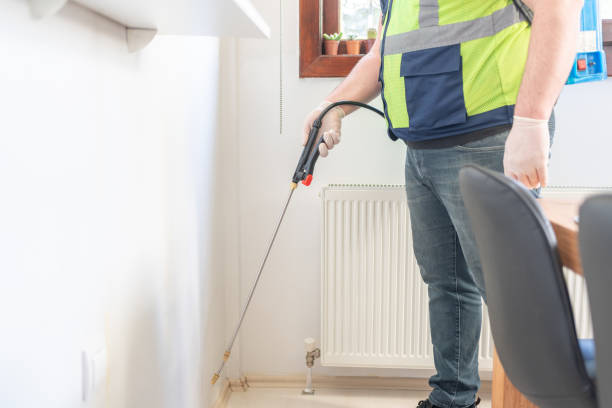 Best Flea Control Services  in French Mp, CA