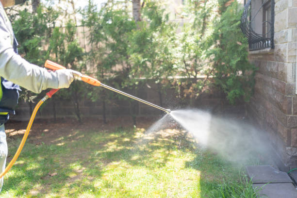 Professional Pest Control in French Camp, CA