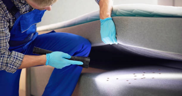 Best Pest Removal Services  in French Mp, CA
