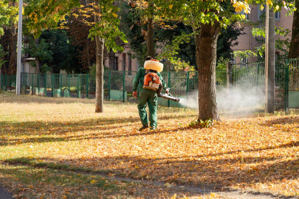 Best Local Pest Control Services  in French Mp, CA