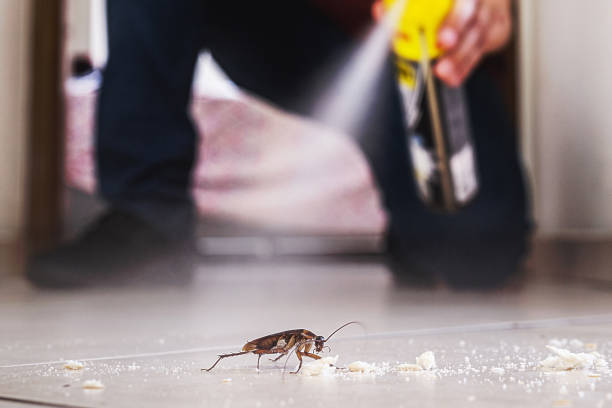 Best Exterminator Services  in French Mp, CA