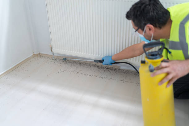 Best Bed Bug Extermination  in French Mp, CA
